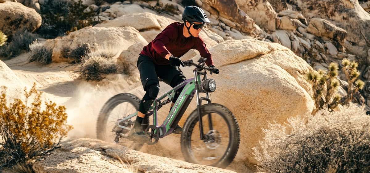 DUOTTS E26 Elektrofahrrad DUOTTS E26 Elektrofahrrad